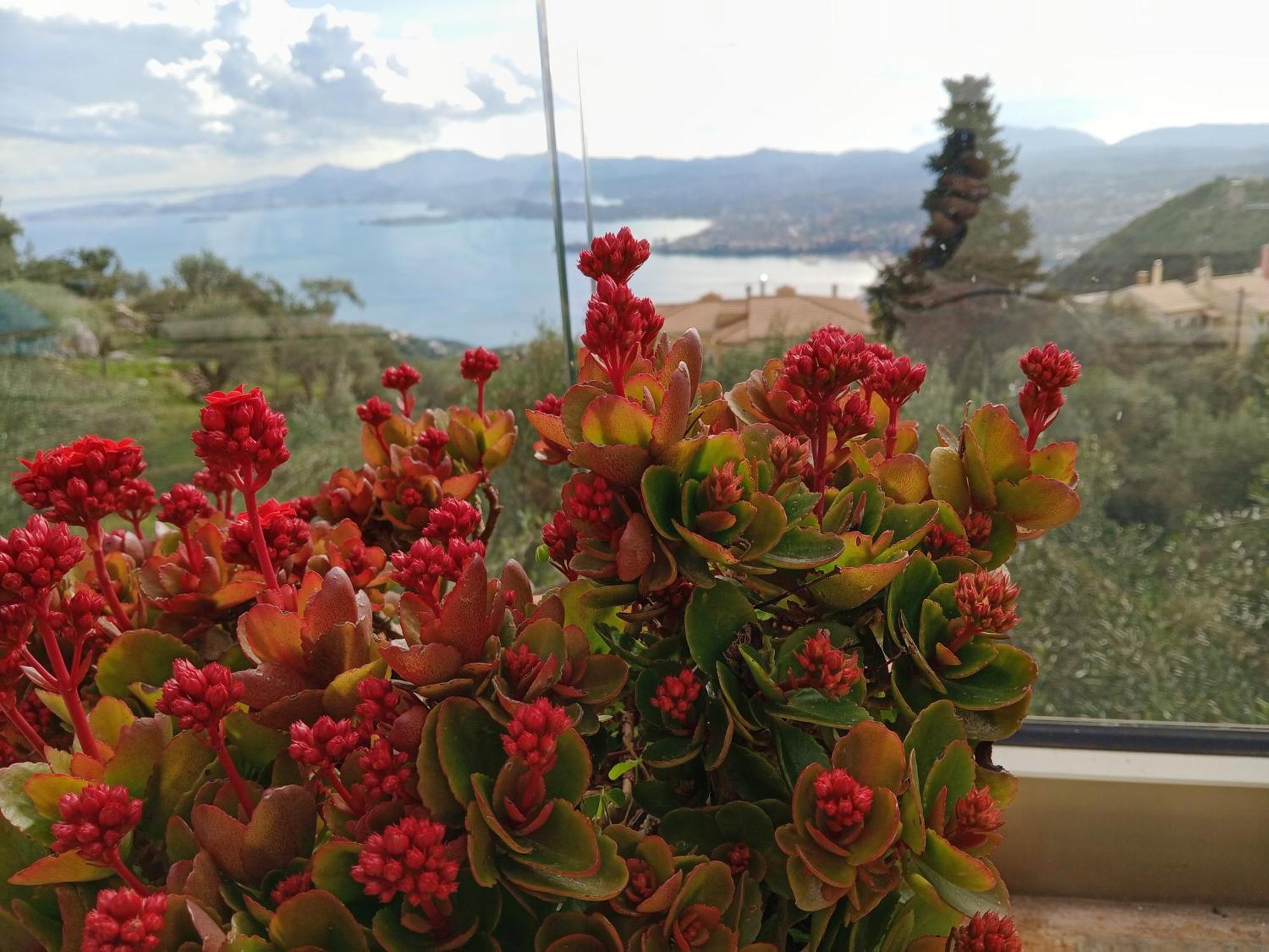 Rizaria Sea View House Villa Szpartílasz Kültér fotó